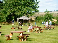 National Beer Garden Day: celebrate by supporting your local in South Hams, as pubs and bars continue to shut across the UK