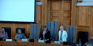 Devon council cabinet criticised