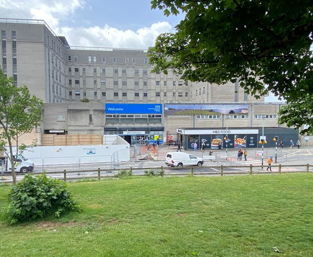 Plymouth Neuro Network gains excellence status