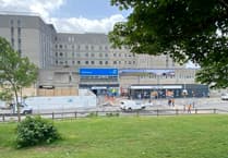 Plymouth's Neuro Network earns top recognition