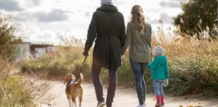 Nearly one in five South West children bitten by pets, says survey