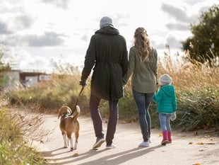 Nearly one in five South West children bitten by pets, says survey