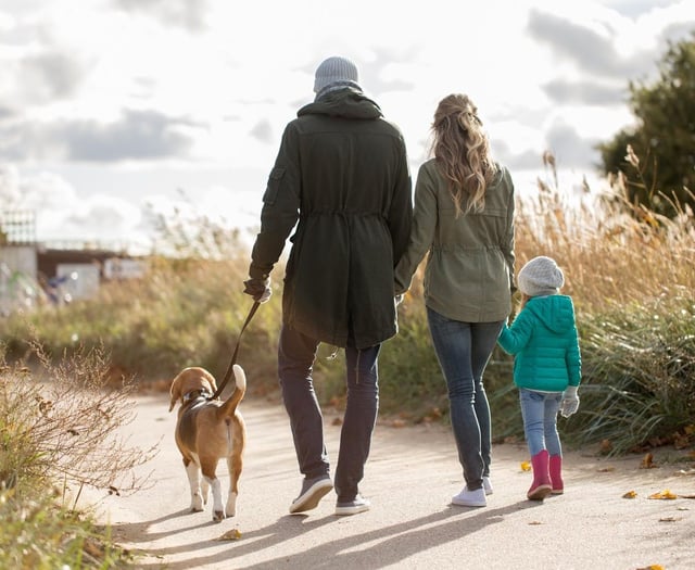 Nearly one in five South West children bitten by pets, says survey