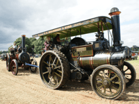 Historic vehicle gathering's golden milestone 