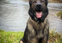 Heroic police dog captures motorcyclist