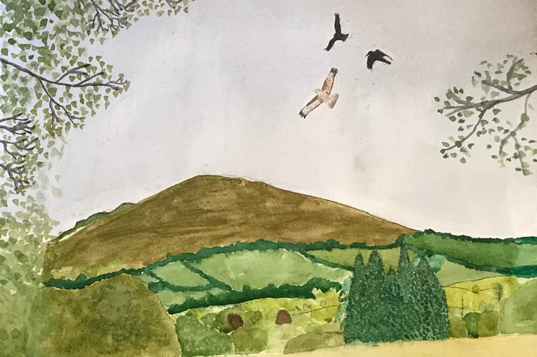 Meldon Hill near Chagford painted by Matilda Baker, aged ten, which  won the 2021 younger age category.
