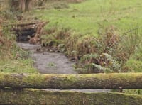 Caroline Snow | Film highlights work of Dartmoor farmers