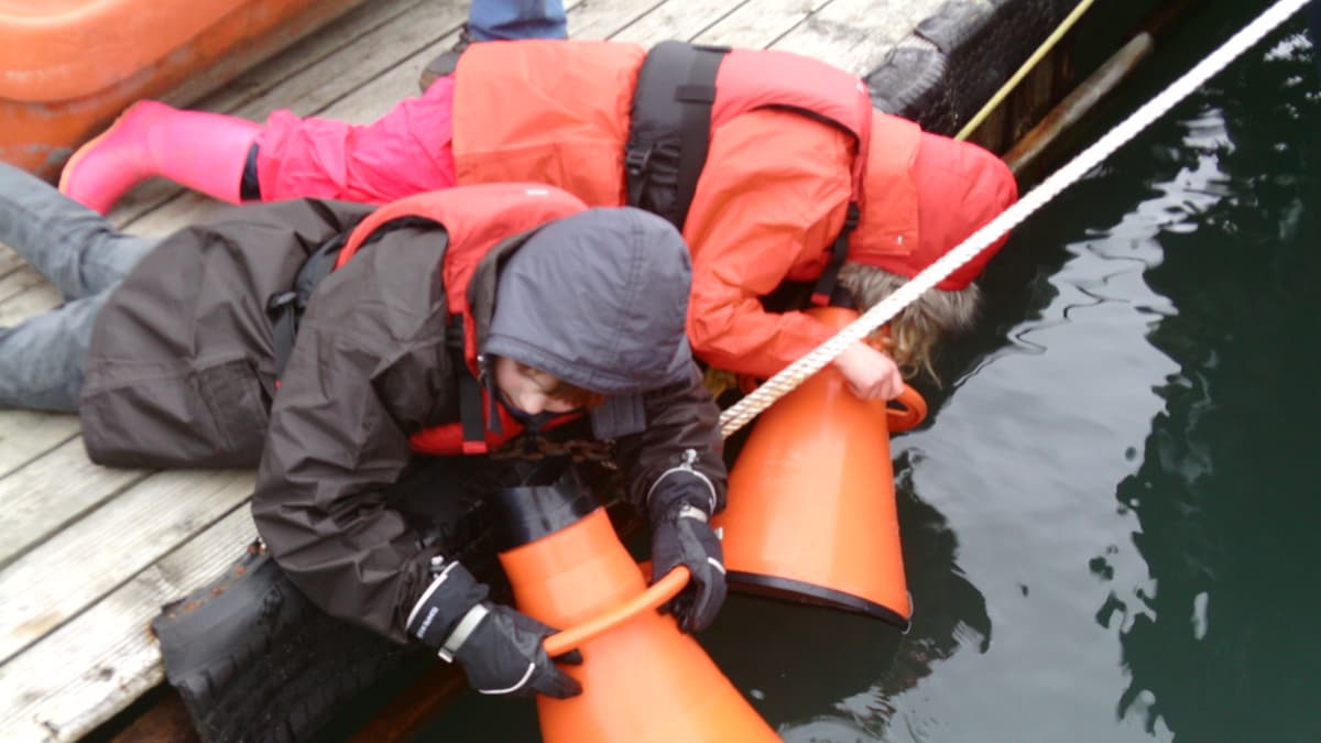 Nature Diary by Nigel Mortimer Shaping the future of estuaries