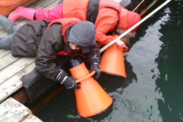 Nature Diary by Nigel Mortimer | Shaping the future of estuaries
