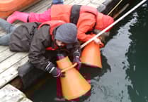 Nature Diary by Nigel Mortimer | Shaping the future of estuaries