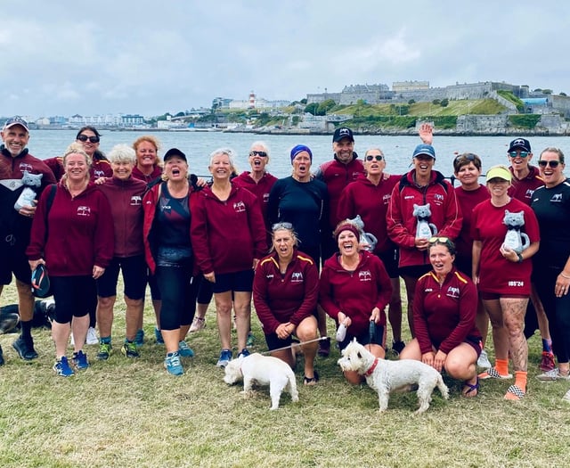 Dart winning races and turning heads