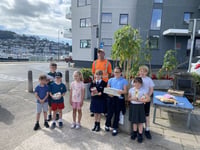 St John's wins tallest sunflower contest