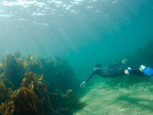 Marine conservation funding open for applications