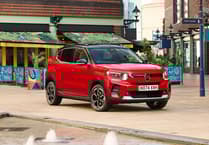 Caroline Snow | Bridging the divide in the transition to electric energy