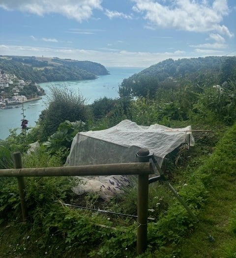 Police tackle antisocial behaviour at allotments
