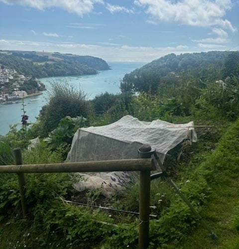Allotment in Dartmouth