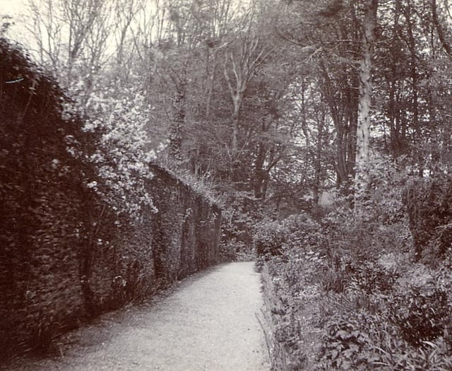 Old photographs from Kingsbridge Cookworthy Museum