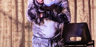 Totnes Fringe: South Devon's arts triumph