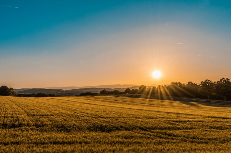 brown field near tree during daytime - Photo by Federico Respini on Unsplash