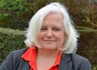 Plymouth councillors under digital attack