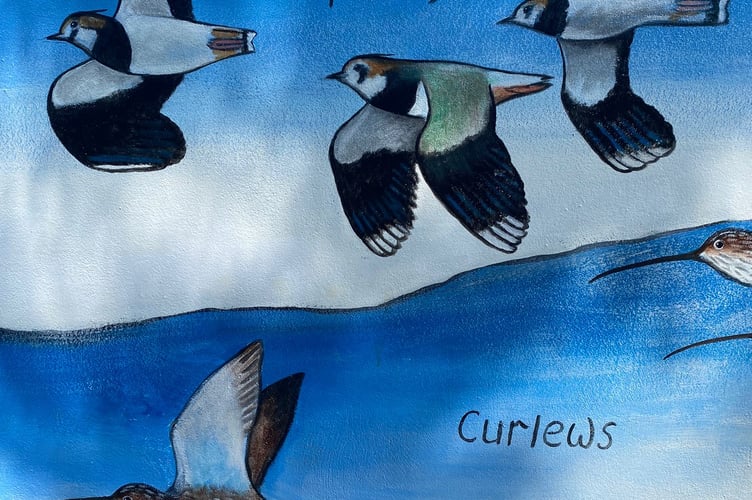 Modbury's new mural unveiled featuring Lapwings and Curlews
