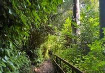 Readers Letters | August 7