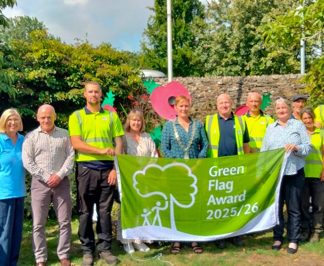Kingsbridge recreation ground wins another Green Flag Award