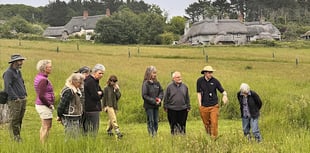 Orchard Farm leads meadow restoration efforts in the South Hams 