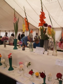 Some of the flower displays