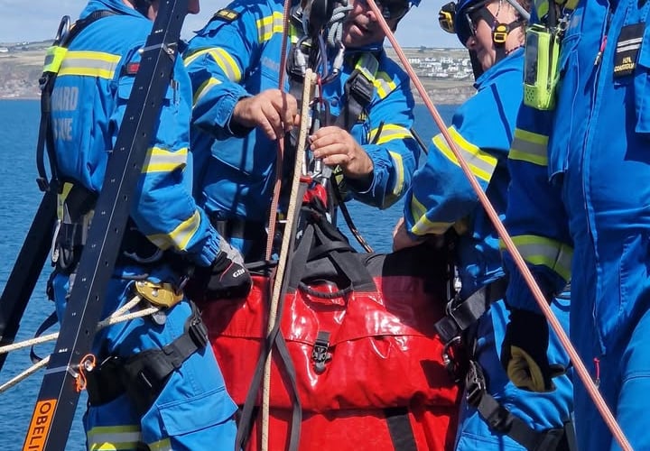 Rescuing the dog