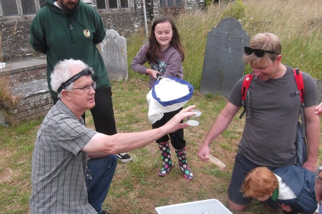 Family Fun at Wild Loddiswell