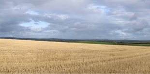 Octopus plans Bigbury wind turbine for renewables