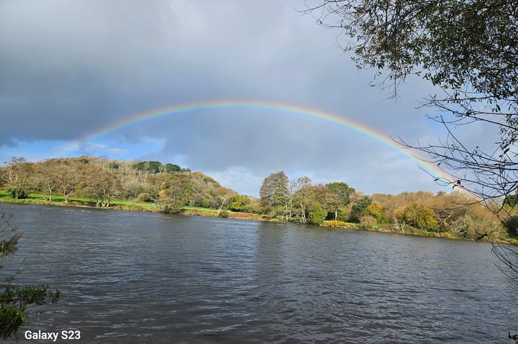 Carolyn Norris - Rainbow on the Dart