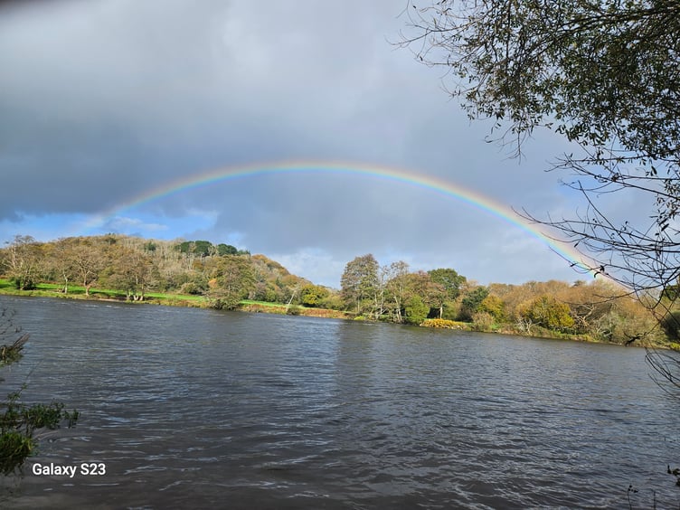 Carolyn Norris - Rainbow on the Dart