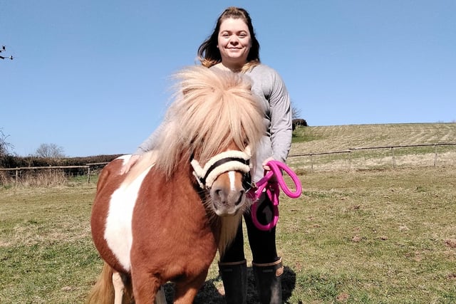 Shetland pony Sherbert's new home after court case