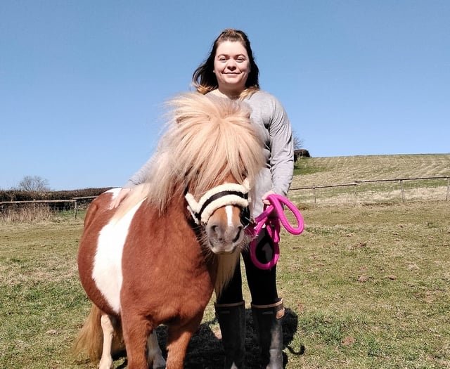 Shetland pony Sherbert's new home after court case