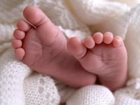 Fertility rate falls in South Hams – as it reaches new record low in England and Wales