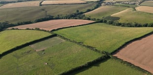 Public divided over wind turbine plan