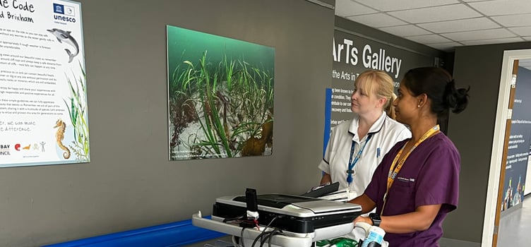 Hearts and Geopark Exhibition