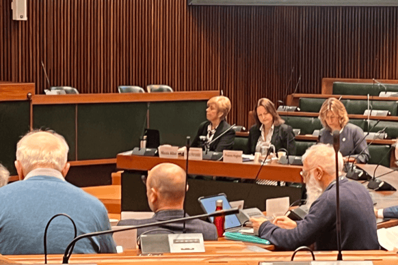 Devon and Cornwall police and crime commissioner Alison Hernandez addresses a meeting of the police and crime panel