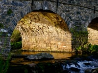 Dartmoor rivers are at risk 