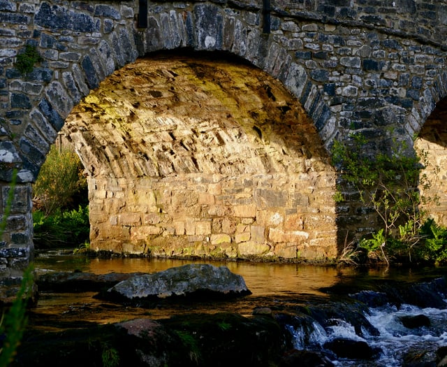 Dartmoor rivers are at risk 