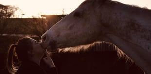 Tails from South Moor | Eye will resist by vet James McIntosh