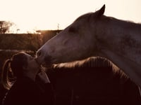 Tails from South Moor | Eye will resist by vet James McIntosh