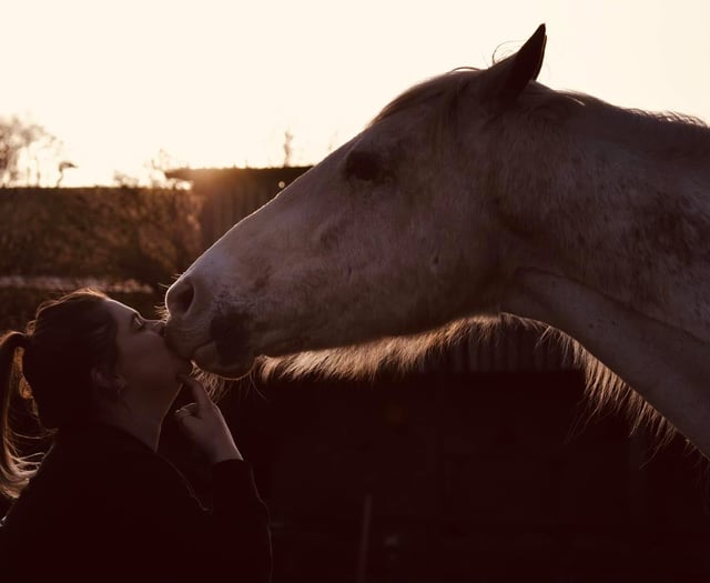 Tails from South Moor | Eye will resist by vet James McIntosh