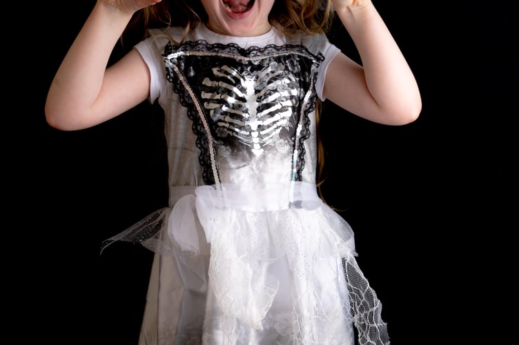 Devon Libraries and Recycle Devon help save pennies and the planet with Halloween Costume Swaps  - Pixabay