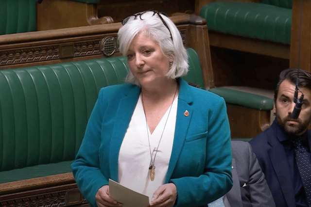 Voaden named schools spokesperson for Liberal Democrats