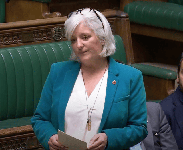 Voaden named schools spokesperson for Liberal Democrats