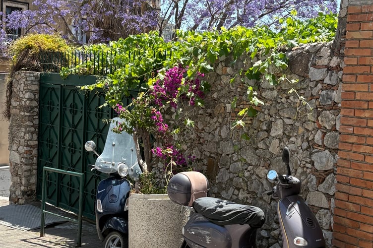 A Jacaranda in Taormina not Nairobi - Elaine