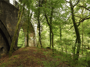 National Trust seek extension for Miners’ Cottage in Plymbridge Woods
